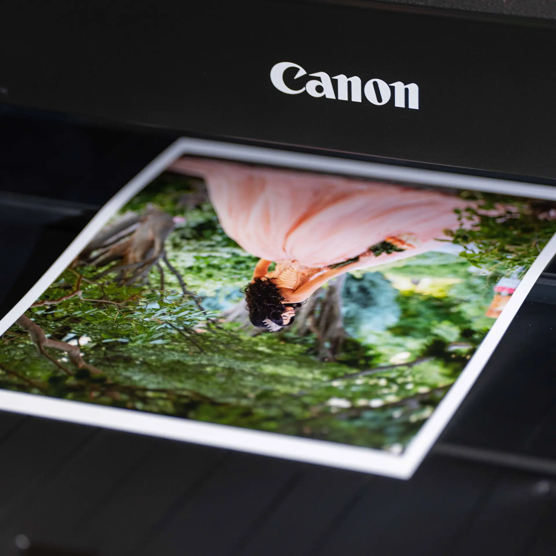 Quinceañera — Library